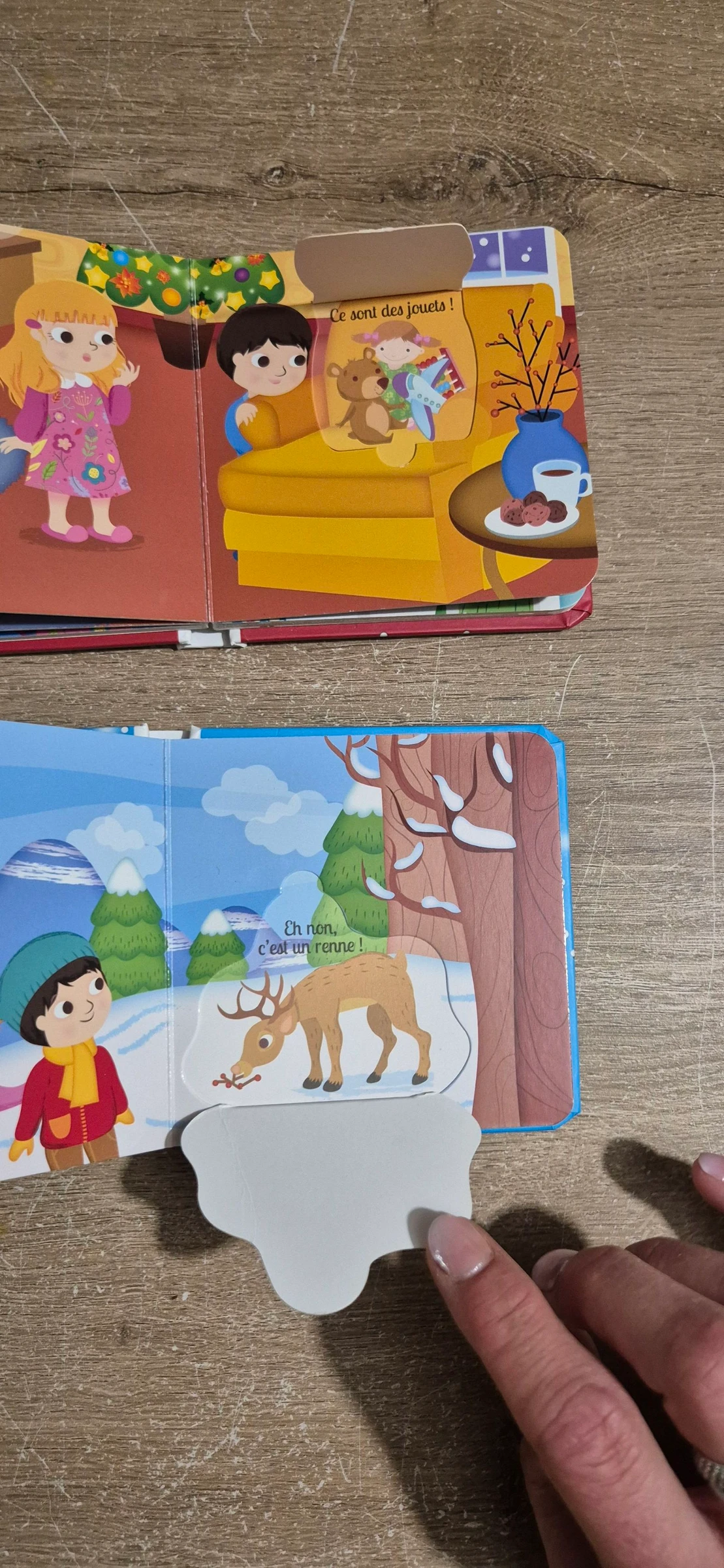 Lot boeken Cache-cache Noël – photo 11